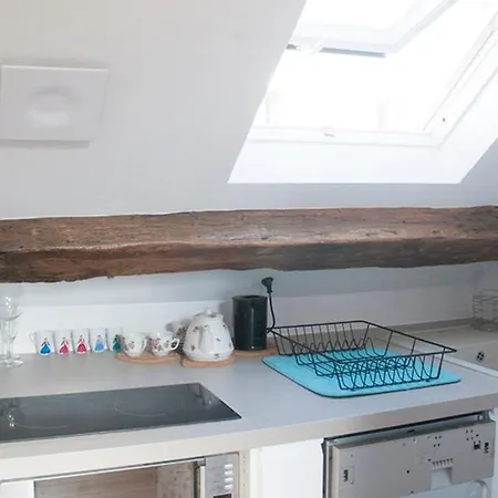 Lovely Bright Apartment Close To Opera Apartment